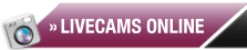 Private Amateur Camgirls online im Video Chat